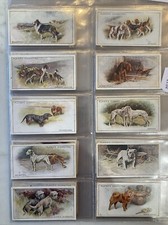 1925 Player's Dogs (Small)