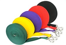 Horse Lunge Line Dog Training Lead 10ft 3m Large 25mm Cushion Webbing 19 Colours
