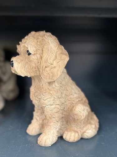 Realistic cockapoo puppy dog - cockapoo,