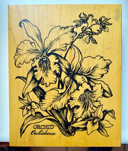 Rare psx orchid botanical - rare,