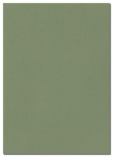 Vintage Green 135gsm Coloured A4 Paper. 297mm x 210mm. (Colorplan Mid-Green)