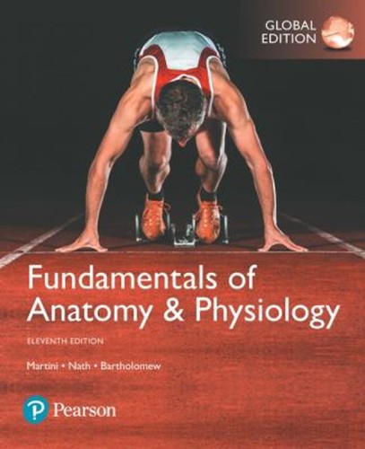 Fundamentals anatomy and - of,