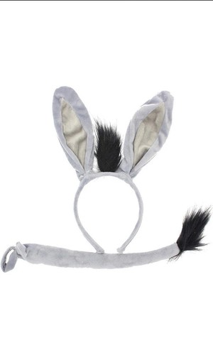 Shrek donkey costume - dress, up