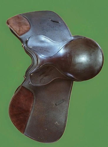 Brown leather dressage - brown,