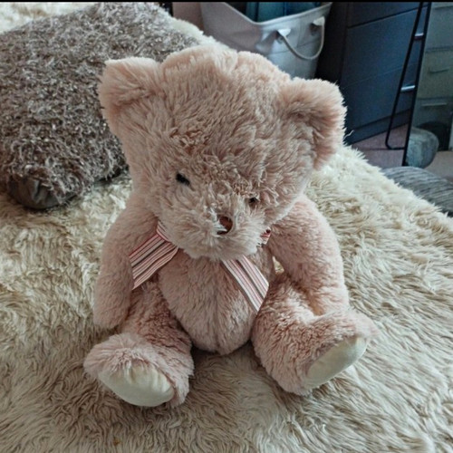 Pink white plush teddy - &,