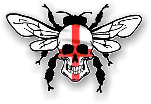 Bumble bee skull insect - bumble,