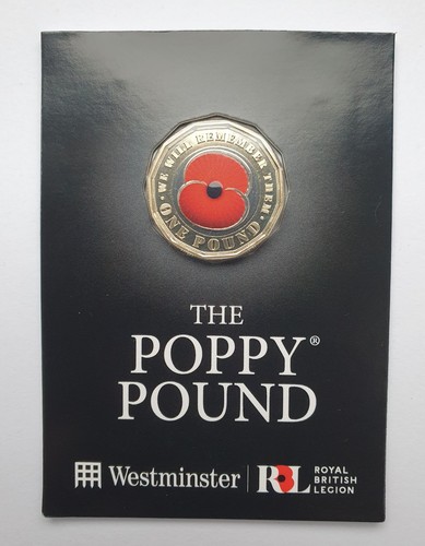2025 jersey poppy remembrance - poppy,