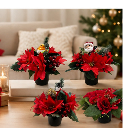 Red poinsettia rose with - red,