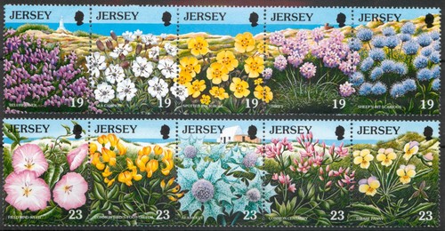 Jersey 1995 conservation - 1995, conservation: