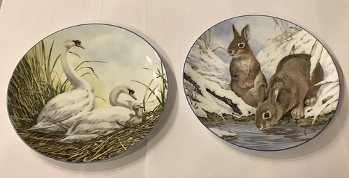 Wedgwood plate nest - nest, among