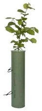 Tubex 60cm Shrub Standard Tree