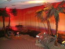 Party backdrop hire