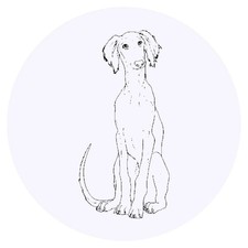 24 x 'Saluki Puppy' Stickers