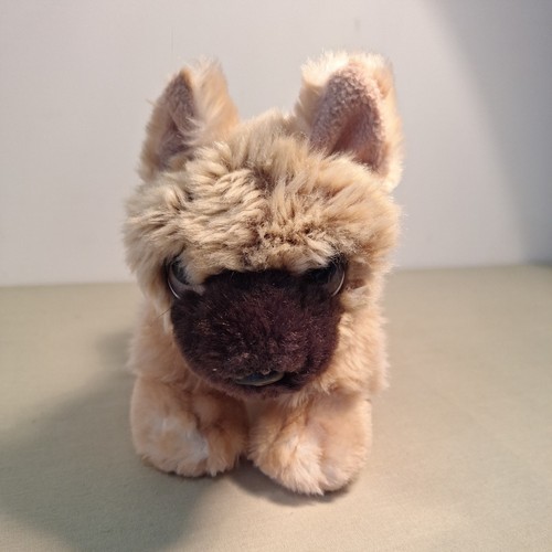 Keel cuddle puppies alsatian - keel,