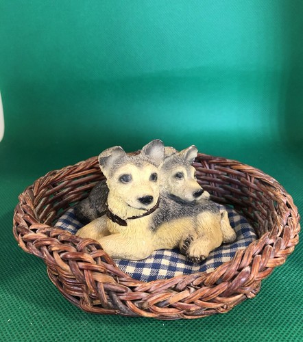 Alsatians puppies big - in, a