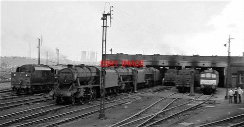 Photo rose grove - , stanier