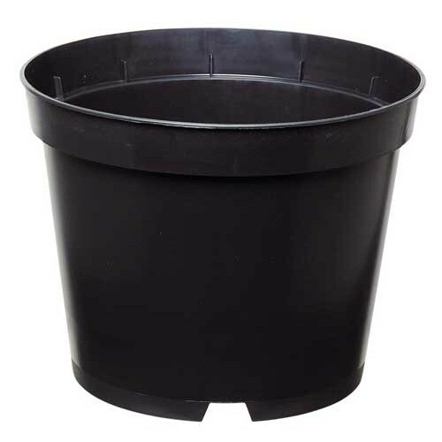 Litre quality black - x,