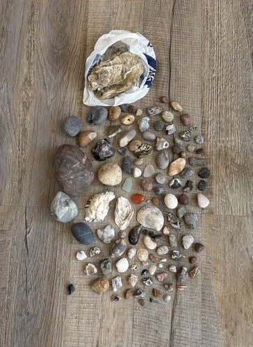 Large stones pebbles - large, shells