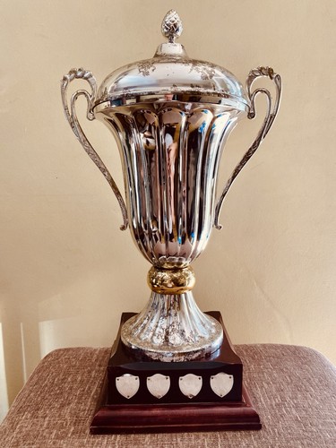 Big large silver trophy - silver,