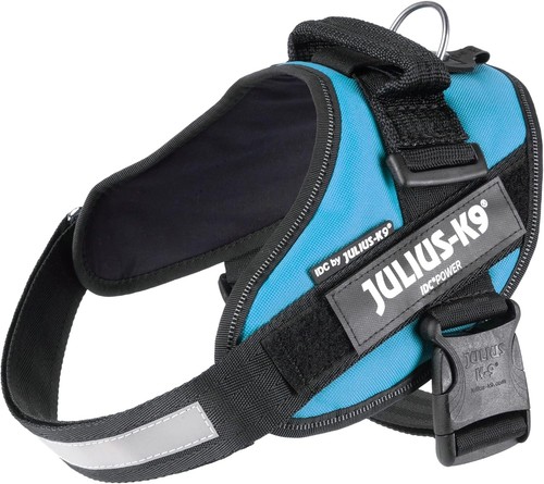 Julius aquamarine dog - k9,