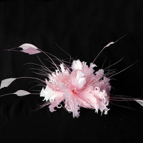 Colours goose feather - 80,