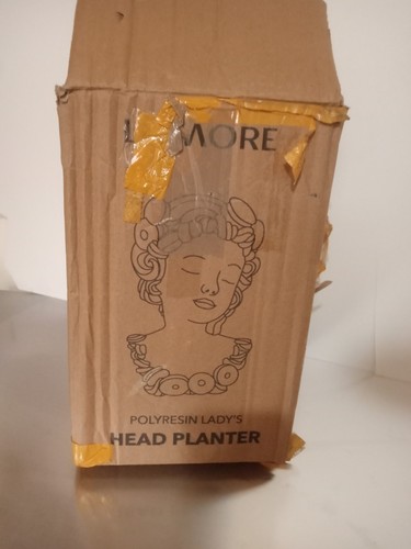 Livmore novelty lady head - livmore,