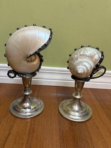 Nautilus shell art - deco, silver
