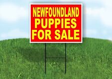 Newfoundland PUPPIES FOR SALE
