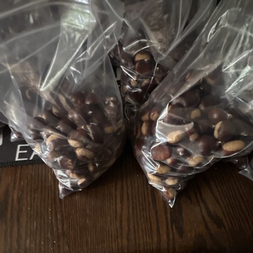 Fresh sweet horse - , chestnut