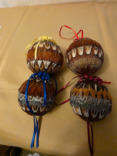 Lot pheasant feather - lot, 4