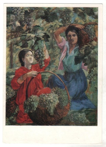 Grape harvest women girl - grape,