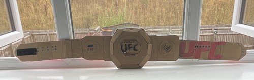 Ufc world champion - champion, style