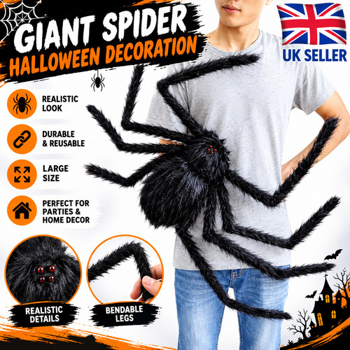 Giant hairy spider - giant,