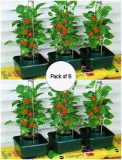 Pack Of 6 Tomato Growbag Halos Plant Pot Supports Hydroponics Irrigation System