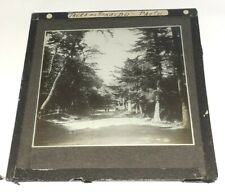GLASS LANTERN SLIDE JAPANESE ART TOKAIDO TREES PHOTO VINTAGE JAPAN