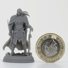 Levin, High-Elf Fighter with