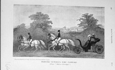 Original Old Antique Print