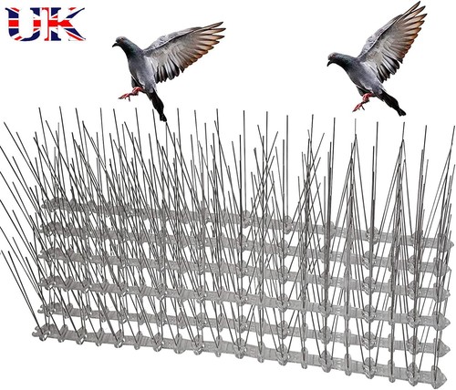 Bird spikes for roofs - bird,