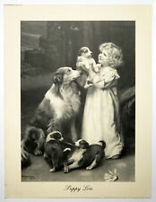 Puppy Love, by John Elsley