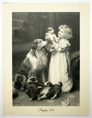 Puppy love john - puppy, by