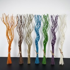 Spiral Willow Twigs 20