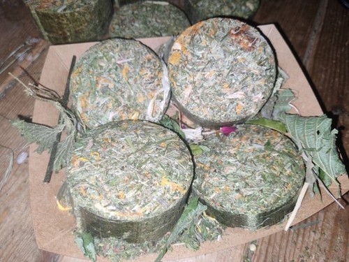Botanical cookies - 🍪,