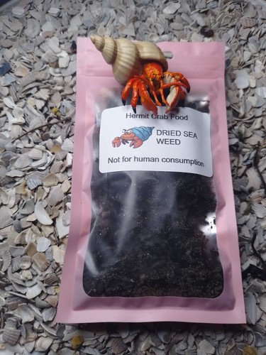 Hermit crab food cuisine - crab, 25g