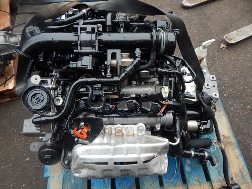 Genuine volkswagen golf blg - volkswagen,