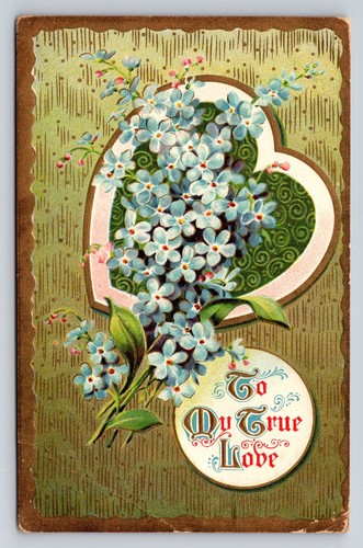 1910 forget not flowers - forget-me-not,