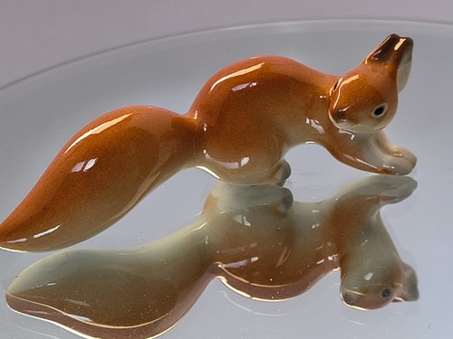Lomonosov red squirrel - lomonosov,