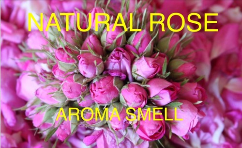 Scented pink rose buds - pink, buds/dried