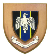 THE SUFFOLK REGIMENT HAND