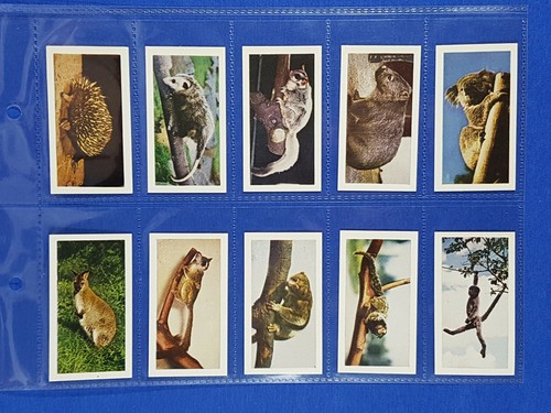 Hornimans tea cards wild - hornimans,