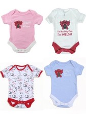 Babies Welsh T Shirt Nappy